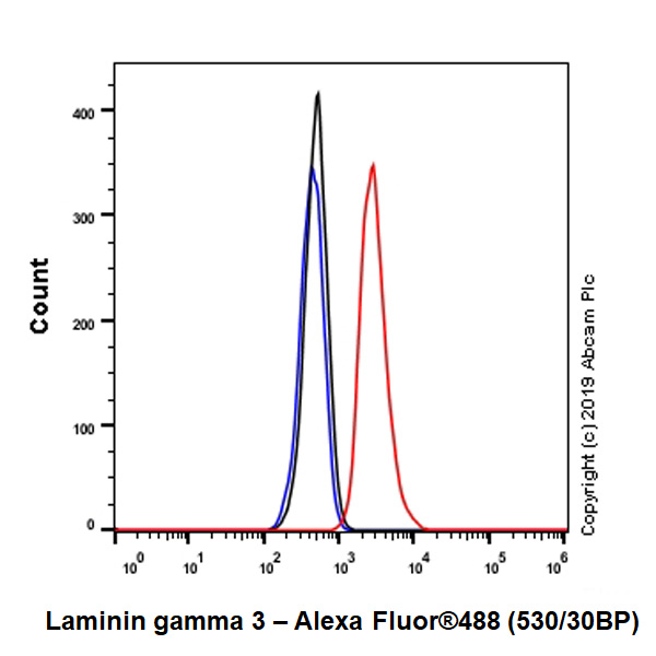 Flow Cytometry (Intracellular) - Anti-Laminin gamma 3 antibody [EPR22699-151] - BSA and Azide free (AB267391), expandable thumbnail