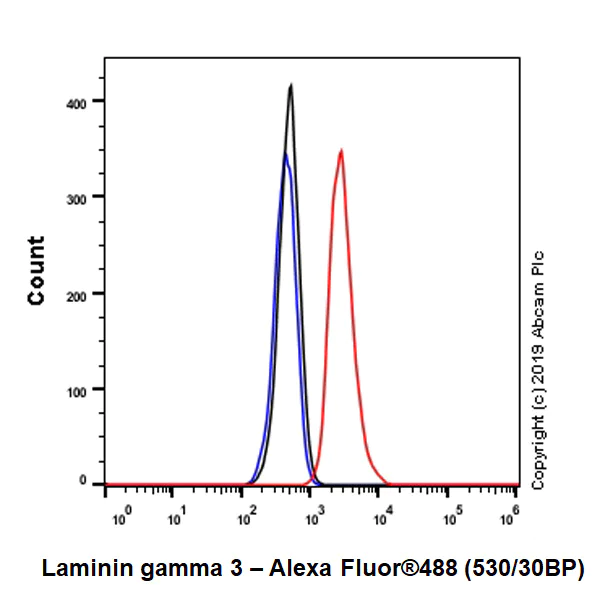 Flow Cytometry (Intracellular) - Anti-Laminin gamma 3 antibody [EPR22699-151] - BSA and Azide free (AB267391)