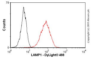 Flow Cytometry (Intracellular) - Anti-LAMP1 antibody [1D4B] - Lysosome Marker (AB25245), expandable thumbnail