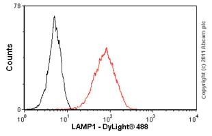 Flow Cytometry (Intracellular) - Anti-LAMP1 antibody [1D4B] - Lysosome Marker (AB25245)