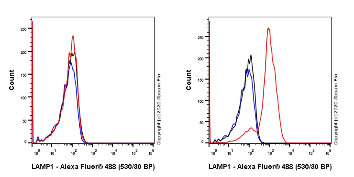 Flow Cytometry (Intracellular) - Anti-LAMP1 antibody [EPR24395-31] (AB278043), expandable thumbnail