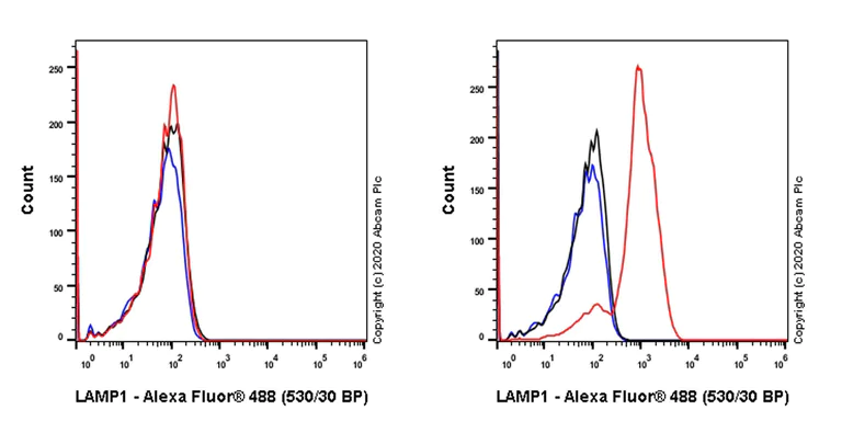 Flow Cytometry (Intracellular) - Anti-LAMP1 antibody [EPR24395-31] - BSA and Azide free (AB278046)