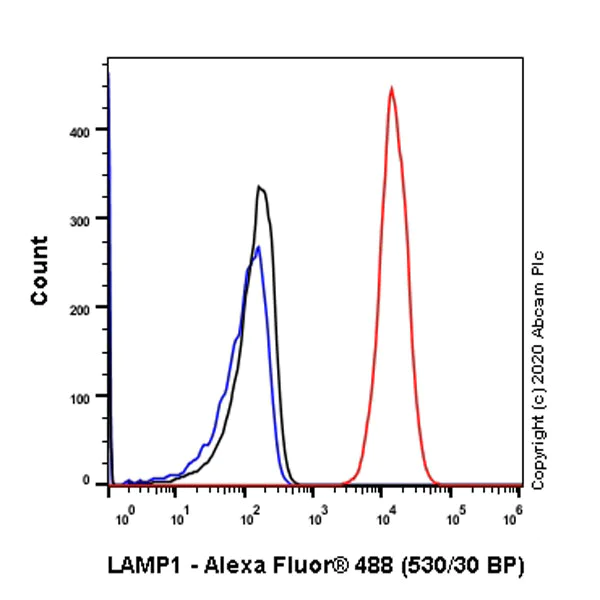 Flow Cytometry (Intracellular) - Anti-LAMP1 antibody [EPR24395-31] - BSA and Azide free (AB278046)