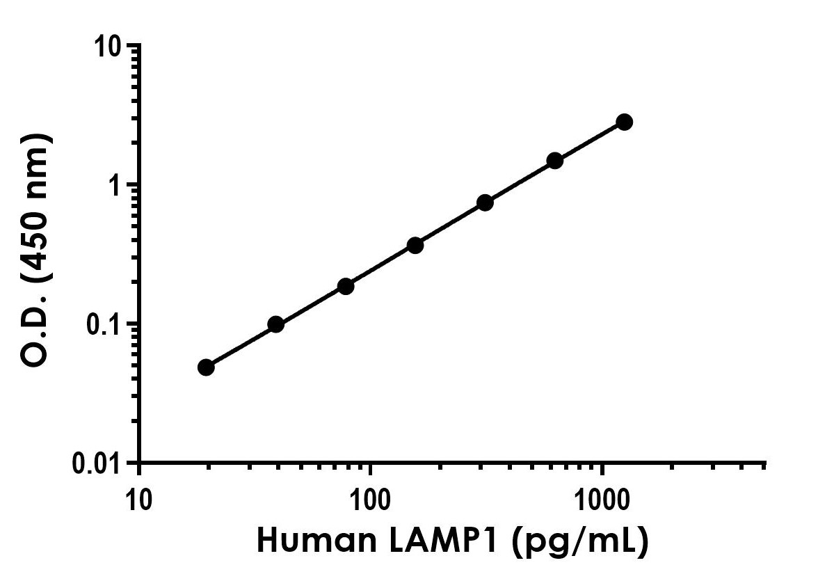 Sandwich ELISA - Anti-LAMP1 antibody [EPR24395-49] - BSA and Azide free (Detector) (AB277667)