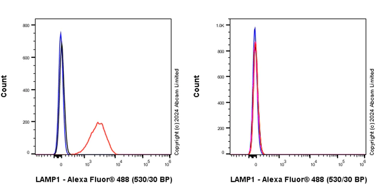 Flow Cytometry (Intracellular) - Anti-LAMP1 antibody [RM1217] - BSA and Azide free (AB320852)