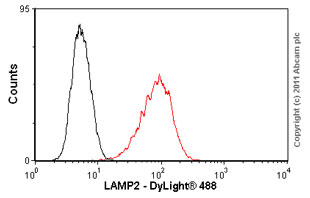 Flow Cytometry (Intracellular) - Anti-LAMP2 antibody [H4B4] - Lysosome Marker (AB25631), expandable thumbnail