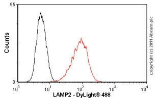 Flow Cytometry (Intracellular) - Anti-LAMP2 antibody [H4B4] - Lysosome Marker (AB25631)