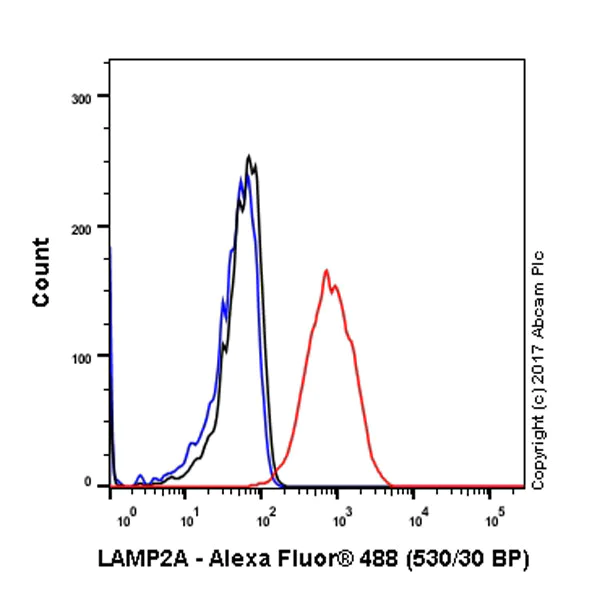 Flow Cytometry (Intracellular) - Anti-LAMP2A antibody [EPR4207(2)] - BSA and Azide free (AB240018)