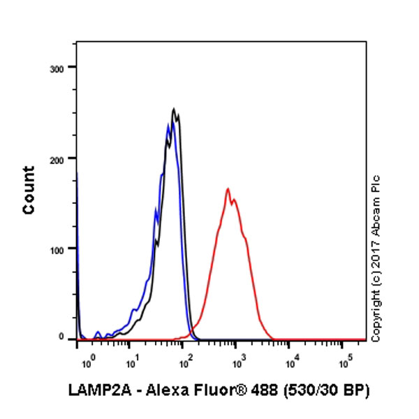 Flow Cytometry (Intracellular) - Anti-LAMP2A antibody [EPR4207(2)] - Lysosome Marker (ab125068), expandable thumbnail
