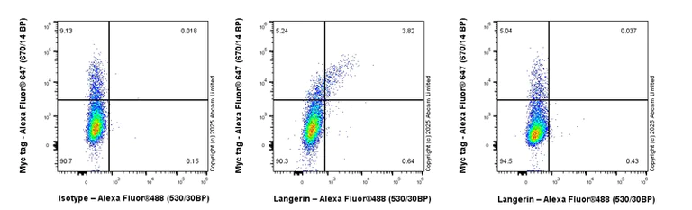 Flow Cytometry (Intracellular) - Anti-Langerin antibody [EPR24685-12] (AB283686)