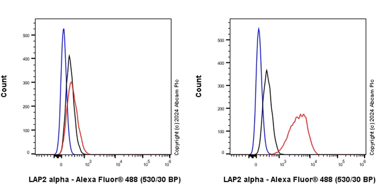 Flow Cytometry (Intracellular) - Anti-LAP2 alpha antibody [EPR28581-87] - BSA and Azide free (AB317029)