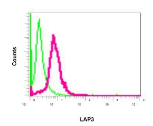 Flow Cytometry (Intracellular) - Anti-LAP3 antibody [EPR10330] - BSA and Azide free (AB249116), expandable thumbnail