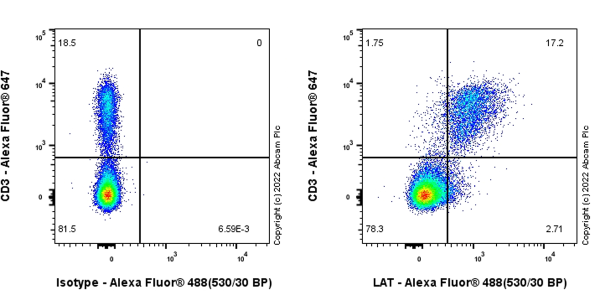 Flow Cytometry (Intracellular) - Anti-LAT antibody [EPR26091-2] (ab302960), expandable thumbnail