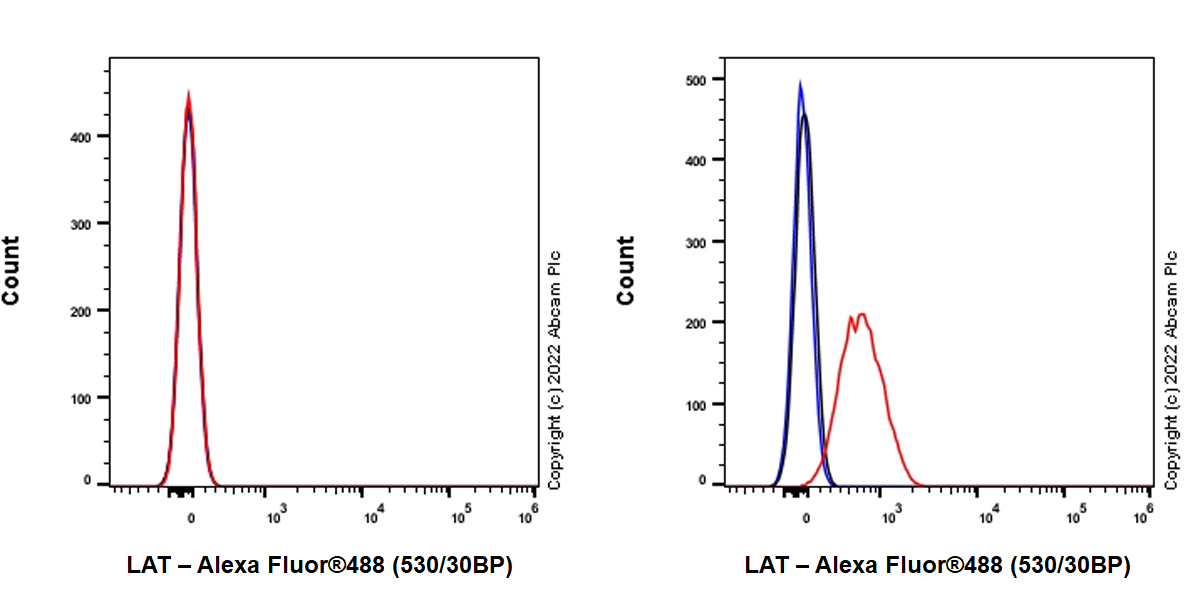 Flow Cytometry (Intracellular) - Anti-LAT antibody [EPR26091-2] (ab302960), expandable thumbnail