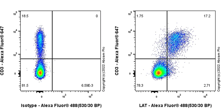 Flow Cytometry (Intracellular) - Anti-LAT antibody [EPR26091-2] - BSA and Azide free (AB302961)