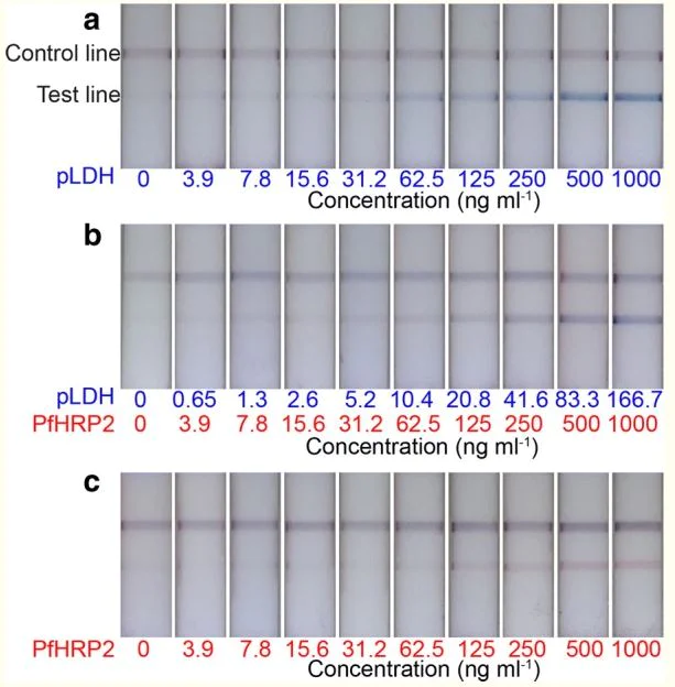 Lateral flow assay - Latex Conjugation Kit - 400nm Red (AB269893)