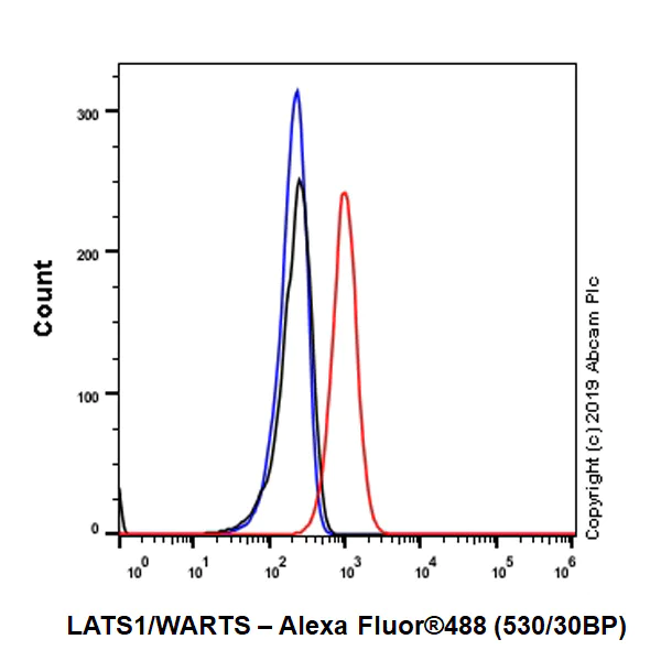 Flow Cytometry (Intracellular) - Anti-LATS1/WARTS antibody [EPR23057-116] - BSA and Azide free (AB264475)
