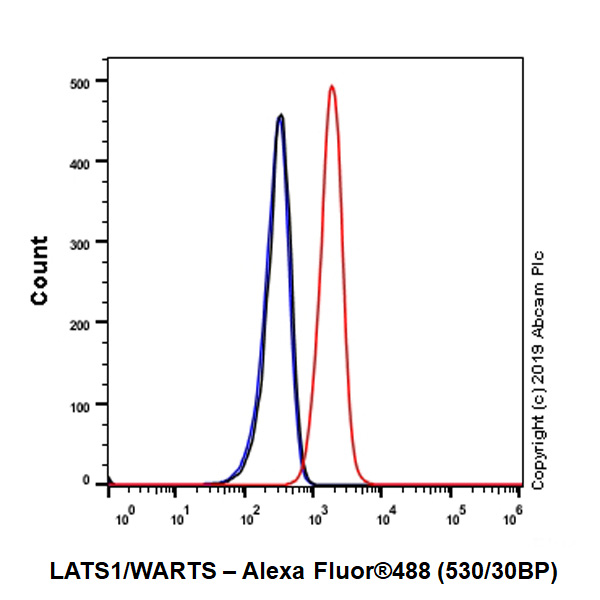 Flow Cytometry (Intracellular) - Anti-LATS1/WARTS antibody [EPR23057-116] - BSA and Azide free (AB264475)