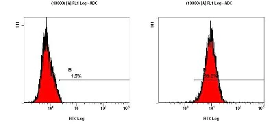 Flow Cytometry (Intracellular) - Anti-LC3B antibody (AB51520)