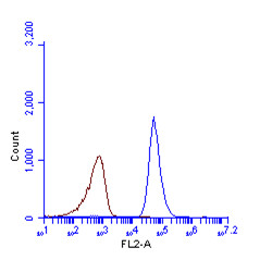Flow Cytometry - Anti-LC3B antibody - N-terminal (AB229327)