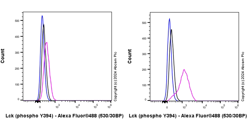 Flow Cytometry (Intracellular) - Anti-Lck (phospho Y394) antibody [EPR27974-93] (AB318960)