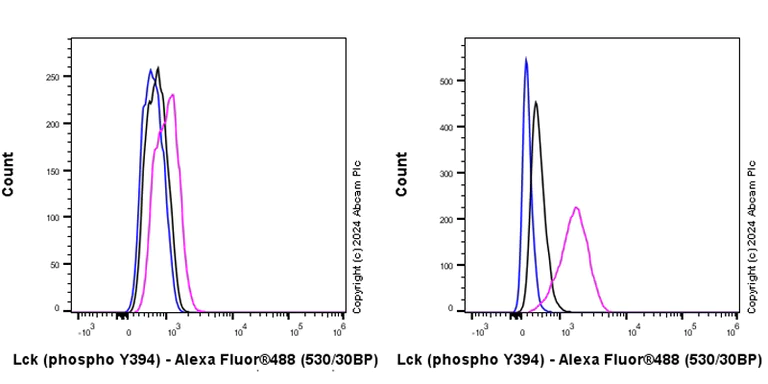 Flow Cytometry (Intracellular) - Anti-Lck (phospho Y394) antibody [EPR27974-93] - BSA and Azide free (AB318961)