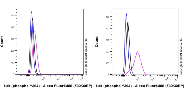 Flow Cytometry (Intracellular) - Anti-Lck (phospho Y394) antibody [EPR27974-93] - BSA and Azide free (AB318961)
