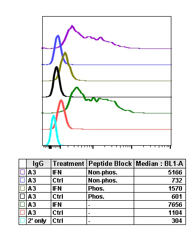 Flow Cytometry - Anti-Lck (phospho Y505) antibody [LckY505-A3] (AB278722)