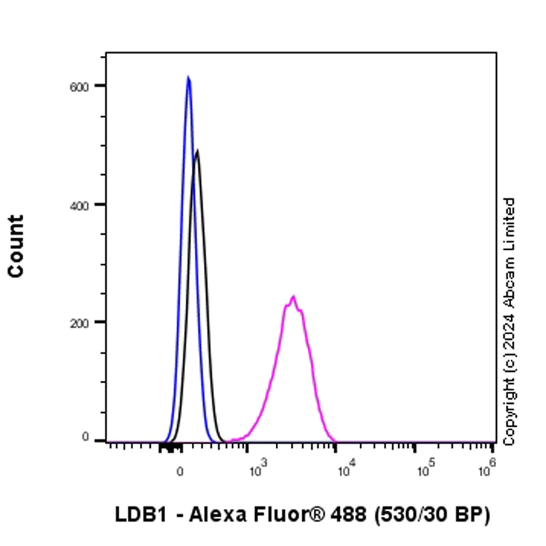 Flow Cytometry (Intracellular) - Anti-LDB1 antibody [EPR28912-75] (AB318978)