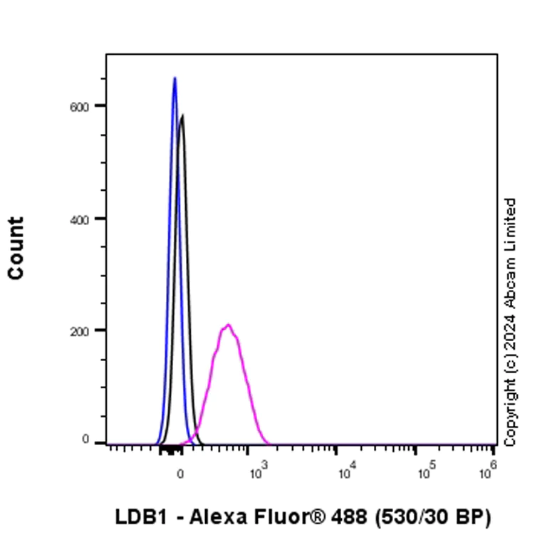 Flow Cytometry (Intracellular) - Anti-LDB1 antibody [EPR28912-75] (AB318978)