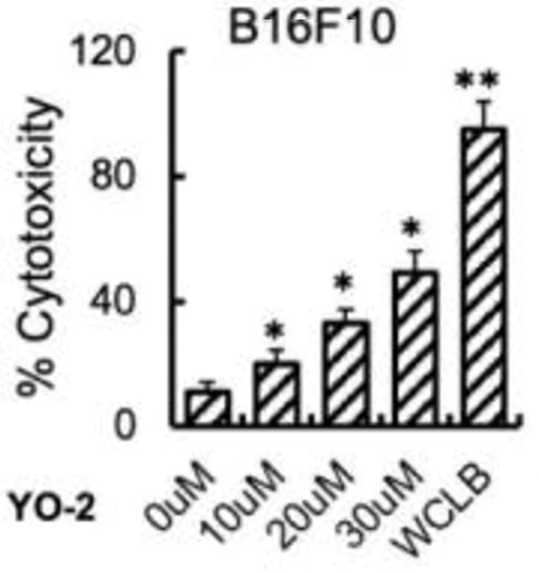 Enzyme activity assay - LDH Assay Kit (Cytotoxicity) (AB65393)