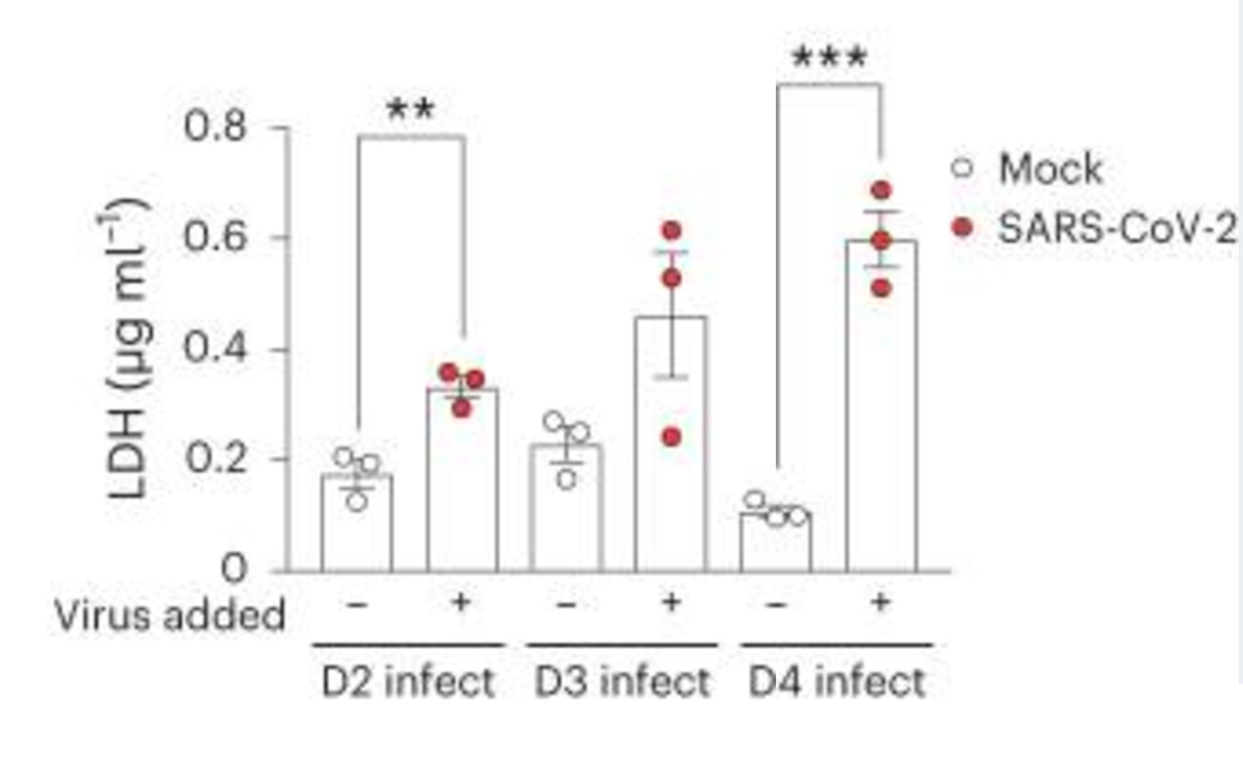 Enzyme activity assay - LDH Assay Kit (Cytotoxicity) (ab65393), expandable thumbnail