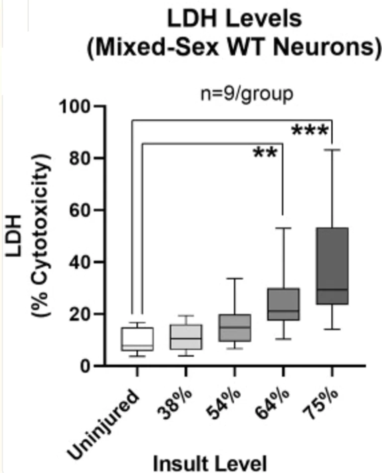 LDH Assay Kit. Cytotoxicity. LDH Release. (ab65393/K313) | Abcam
