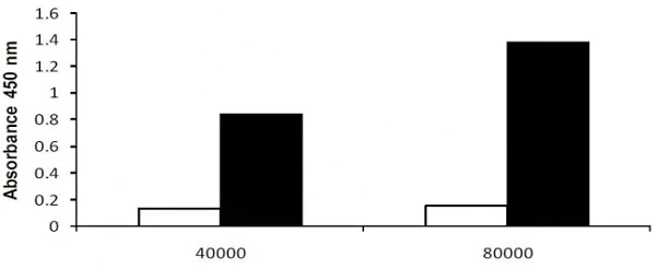 Functional Studies - LDH Assay Kit (Cytotoxicity) (AB65393)