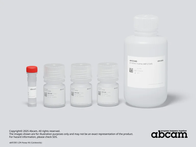 Schematic Diagram - LDH Assay Kit (Cytotoxicity) (AB65393)
