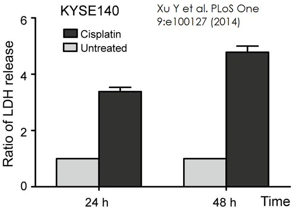 Functional Studies - LDH Assay Kit / Lactate Dehydrogenase Assay Kit (Colorimetric) (AB102526)