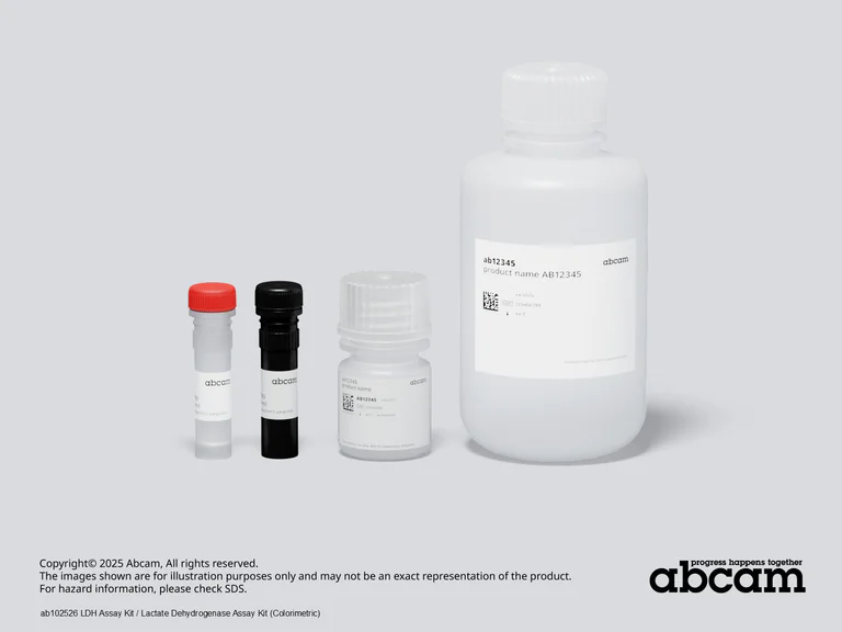 Other - LDH Assay Kit / Lactate Dehydrogenase Assay Kit (Colorimetric) (AB102526)