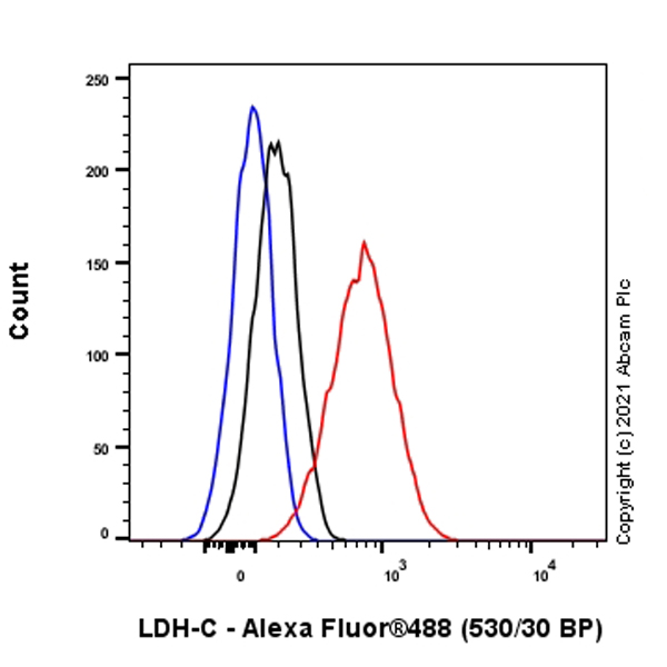 Flow Cytometry (Intracellular) - Anti-LDH-C antibody [EP1746Y] - BSA and Azide free (AB284694), expandable thumbnail