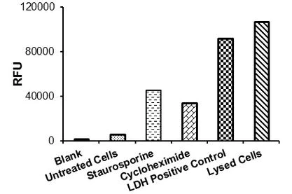 Functional Studies - LDH-Cytotoxicity Assay Kit (Fluorometric) (AB197004)