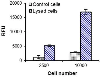 Functional Studies - LDH-Cytotoxicity Assay Kit (Fluorometric) (AB197004)