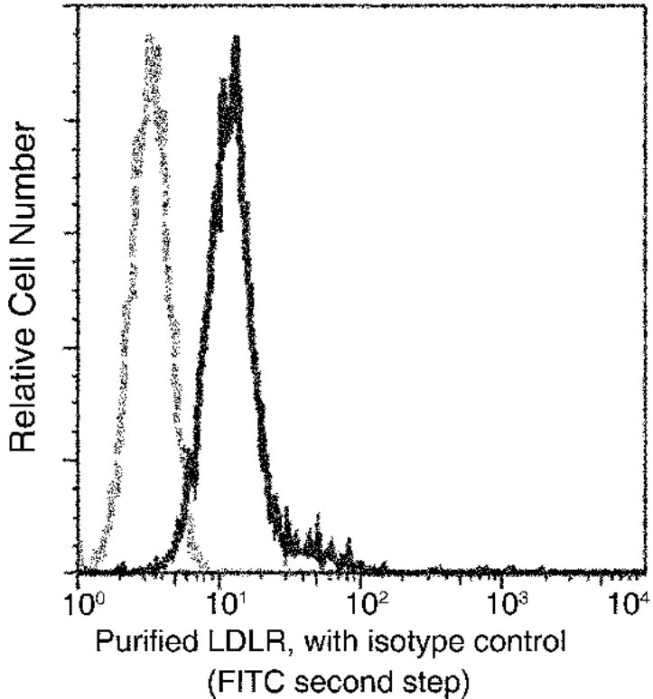 Flow Cytometry - Anti-LDL Receptor antibody [032] - BSA and Azide free (AB277134)