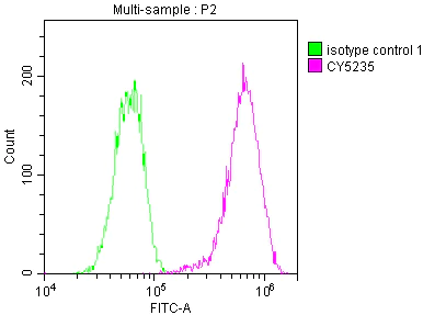 Flow Cytometry - Anti-LDL Receptor antibody [2B10] (AB314008)