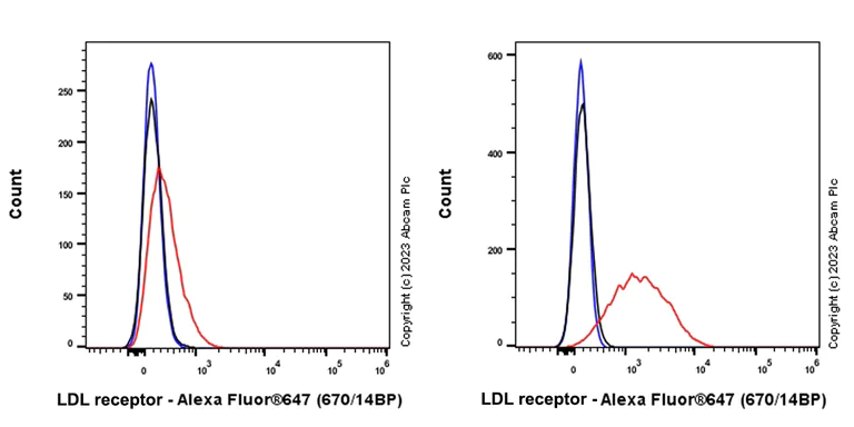 Flow Cytometry - Anti-LDL Receptor antibody [EPR1-EUG] (AB314934)