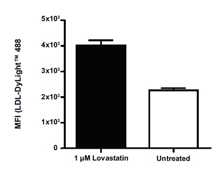 Functional Studies - LDL Uptake Assay Kit (Flow cytometry) (AB236208), expandable thumbnail