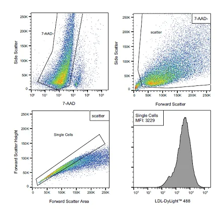 Functional Studies - LDL Uptake Assay Kit (Flow cytometry) (AB236208)