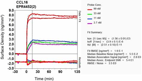 OI-RD Scanning - Anti-LEC antibody [EPR4452(2)] (AB134917), expandable thumbnail