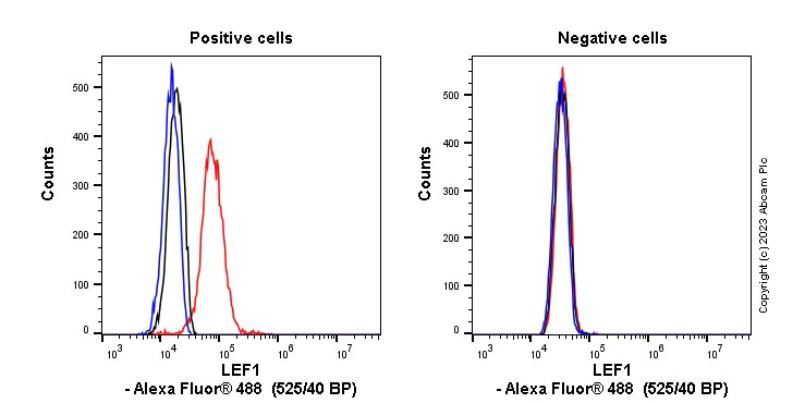 Flow Cytometry (Intracellular) - Anti-LEF1 antibody [EPR2029Y] (AB137872)