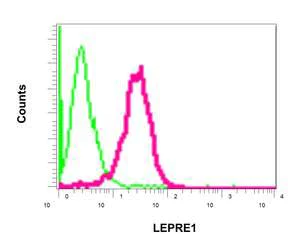 Flow Cytometry (Intracellular) - Anti-LEPRE1/P3H1 antibody [EPR10193(B)] (AB154799)