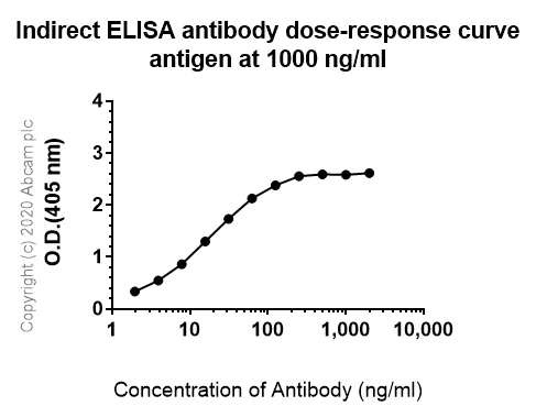 Indirect ELISA - Anti-LEPRE1/P3H1 antibody [EPR10193(B)] (AB154799)