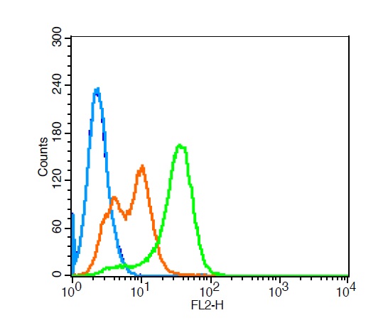 Flow Cytometry - Anti-Leptin Receptor antibody (AB216690)